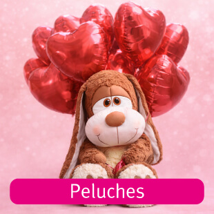 Peluches para regalar en amor y amistad o san valentín